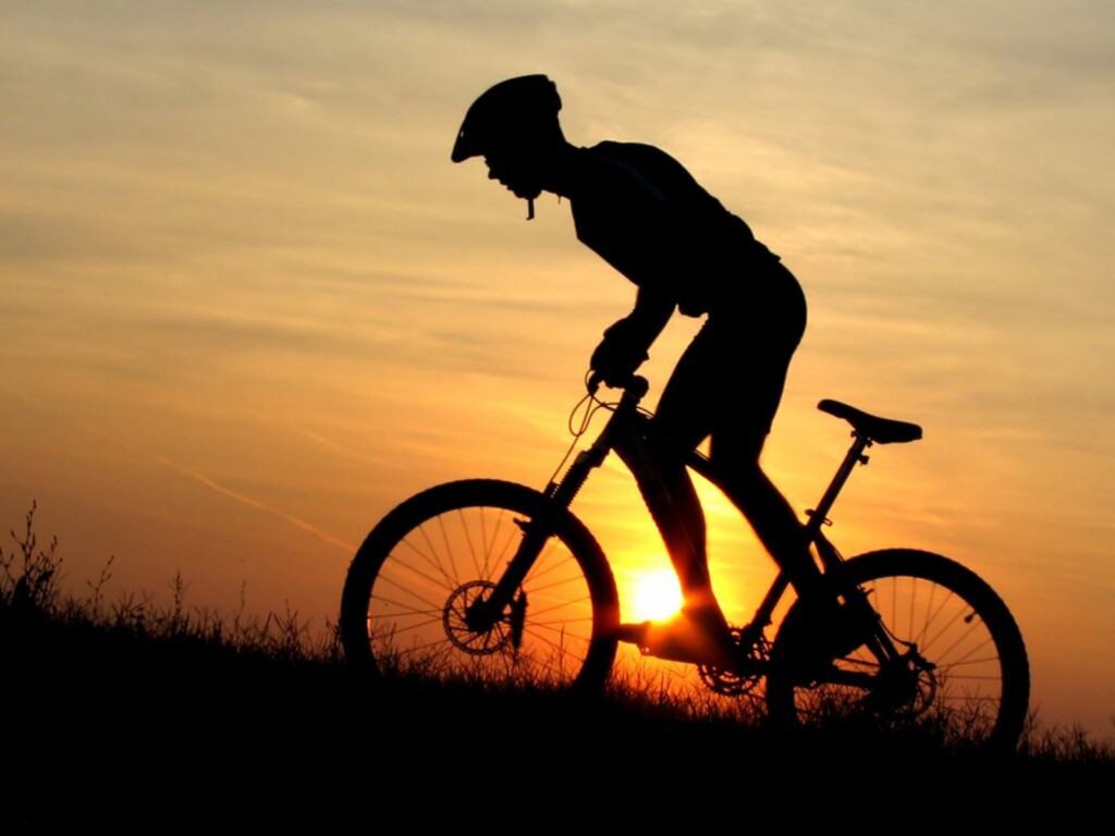 person riding a bike at sunset